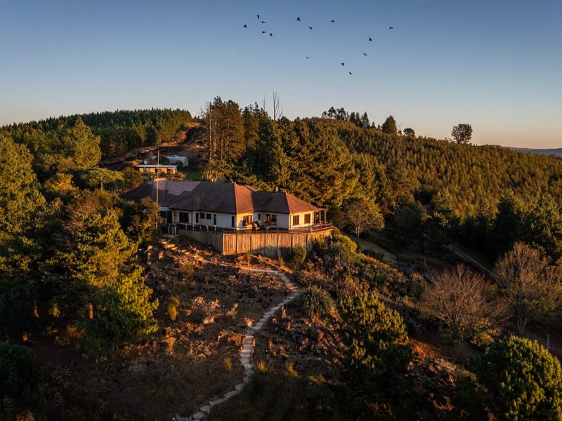 69ha Lifestyle Farm with Two Income-Producing Guest Cottages and 360° Views. - Photo 2