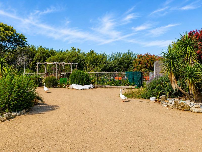 UYLEN KRAAL Farm, Gansbaai  – 42.8266 ha Lifestyle & Agricultural Opportunity - Photo 2