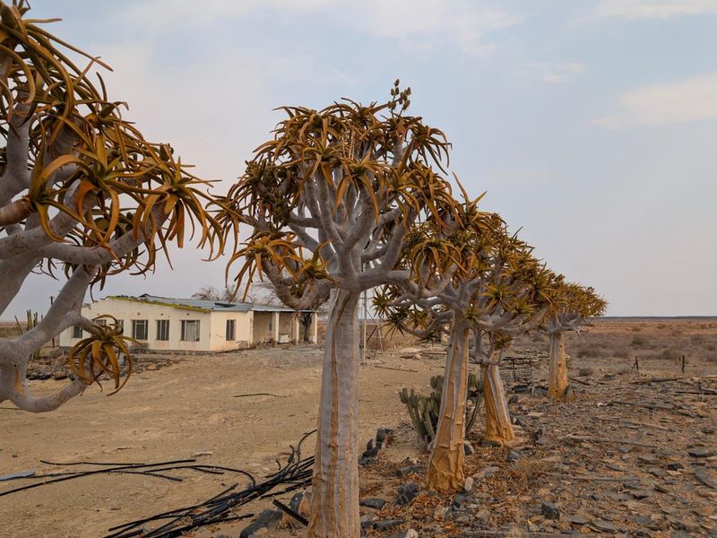 FOR SALE - GAME FARM IN THE KEETMANSHOOP AREA, NAMIBIA - Photo 4
