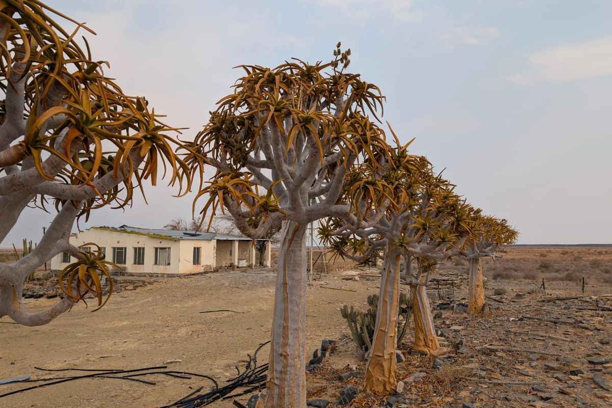FOR SALE - GAME FARM IN THE KEETMANSHOOP AREA, NAMIBIA - Photo 4
