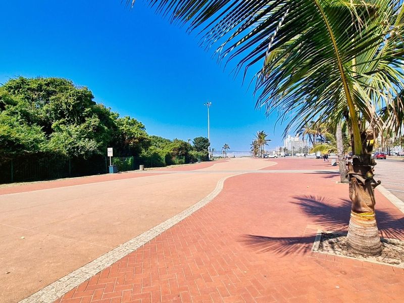 A view of the paved public promenade and street area adjacent to the property, featuring mature palm trees and clear coastal skies.