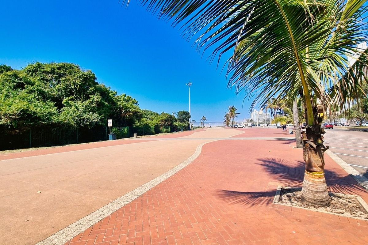 A view of the paved public promenade and street area adjacent to the property, featuring mature palm trees and clear coastal skies.