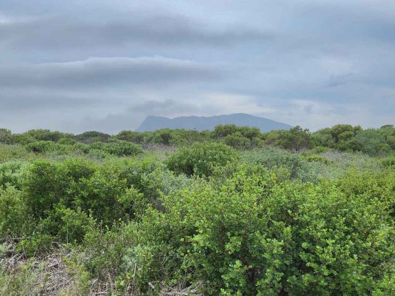 Prime Coastal Plot in the Growing neighbourhood of Groenberg - Photo 8