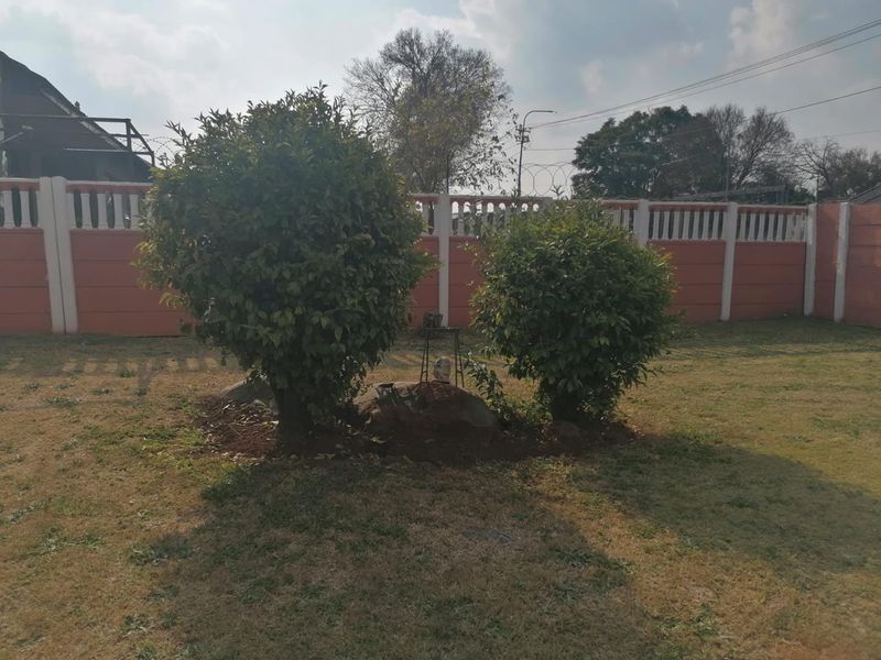 Well-Maintained Character-Filled 3 Bedroom Family Home with Large Garden for Sale in Dinwiddie, Germiston - Photo 2