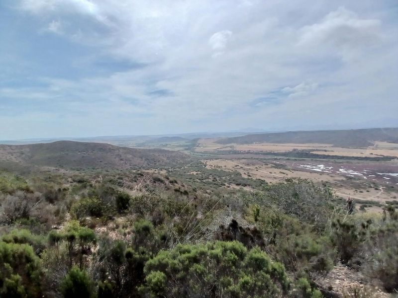 Exclusive 500m2 Stand with Dam Views in Outeniquasbosch Wildlife Estate - Photo 10