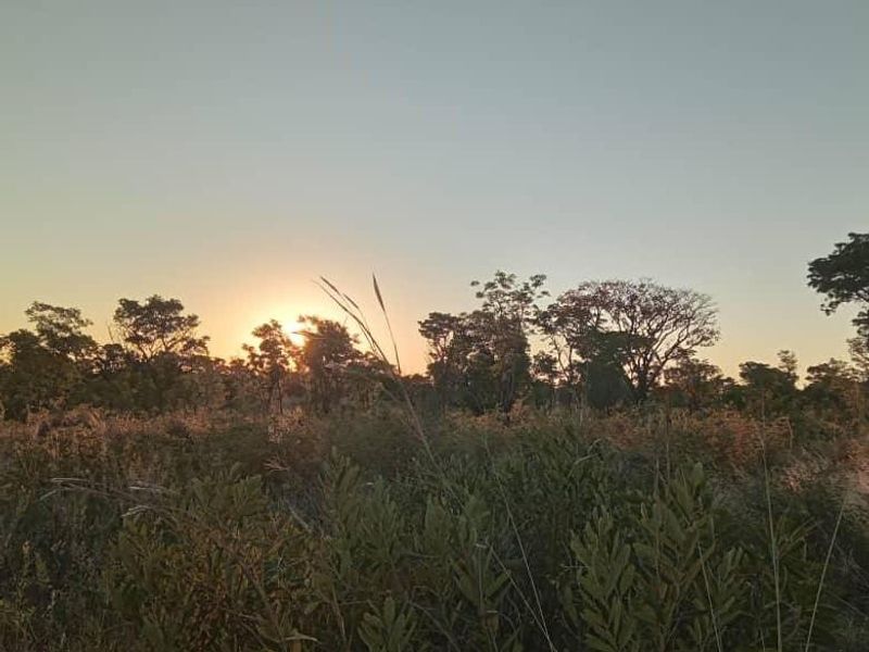 Unlock the Wild – Live the Farm Life! - Photo 7