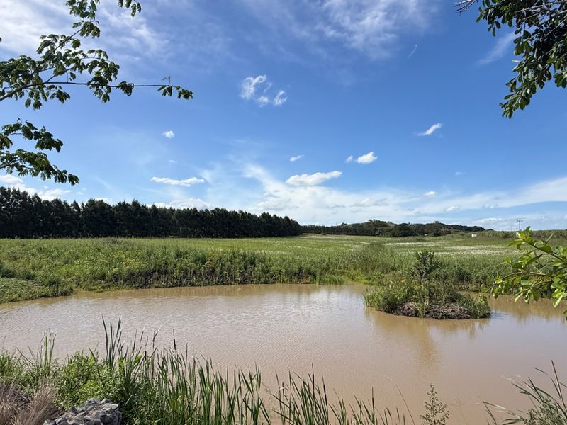 A scenic view of a natural pond set within an expansive open residential land plot, featuring surrounding greenery and a clear sky.