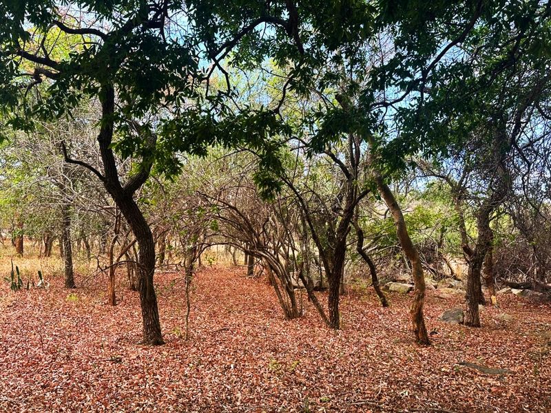 Vacant Stand for Sale in Kampersrus - Photo 4