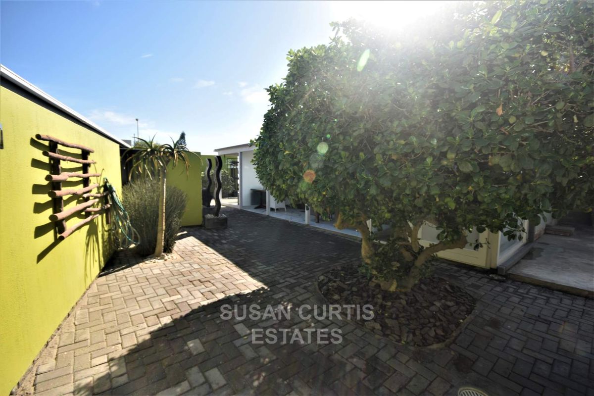 A paved outdoor courtyard area featuring a mature tree, landscaped garden bed, and a lime-colored boundary wall.