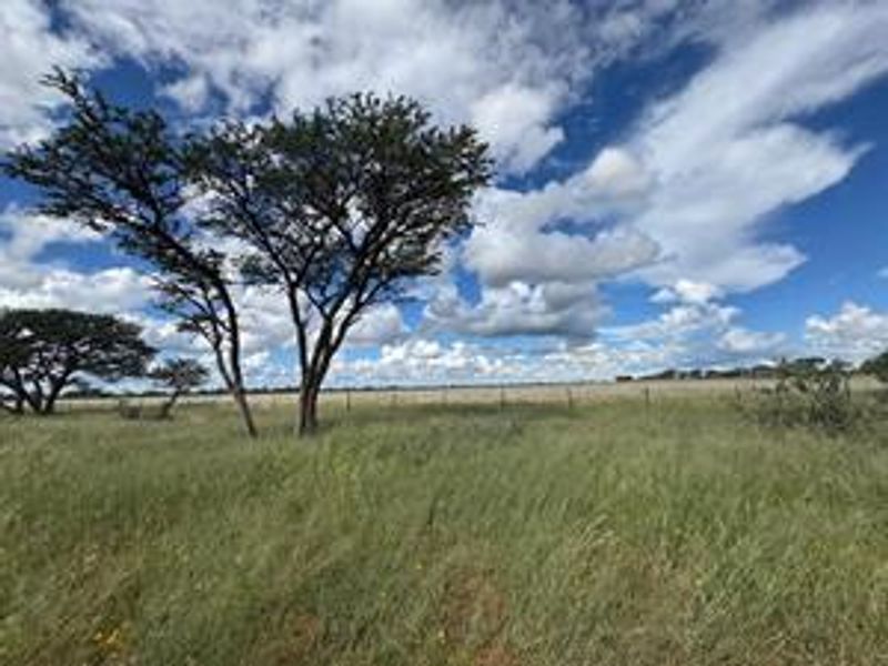 Discover this incredible 4500ha farm offering a perfect blend of modern infrastructure, abundant water resources, and rich wildlife - Photo 9