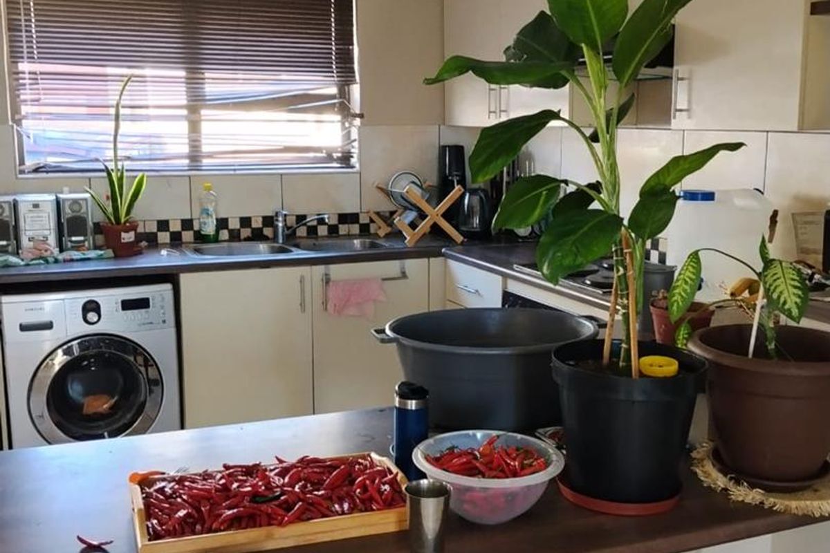 ROCKY CREST - FOR SALE - Photo 5