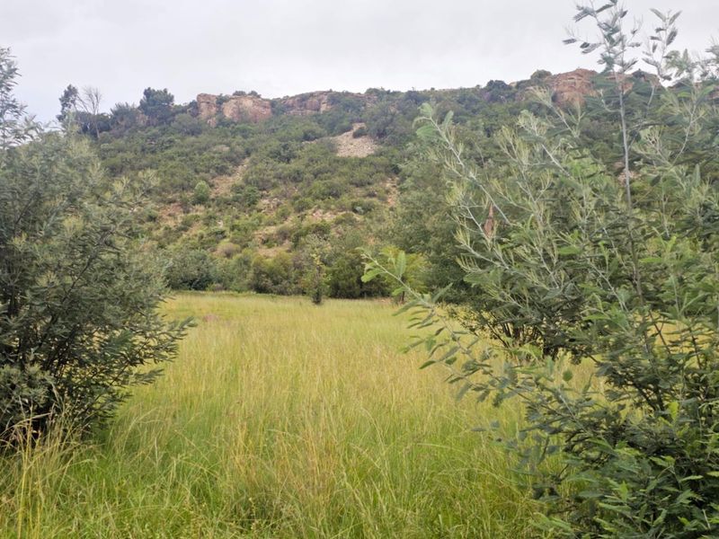**Prime Vacant Land Opportunity at the Mountain's Edge** - Photo 2