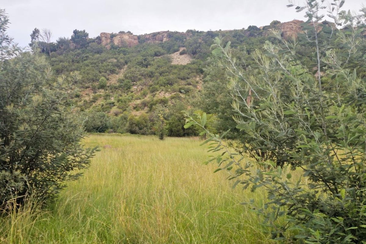 **Prime Vacant Land Opportunity at the Mountain's Edge** - Photo 2