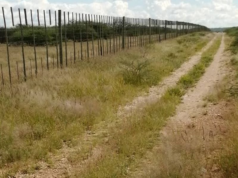 Farm for sale - Photo 4