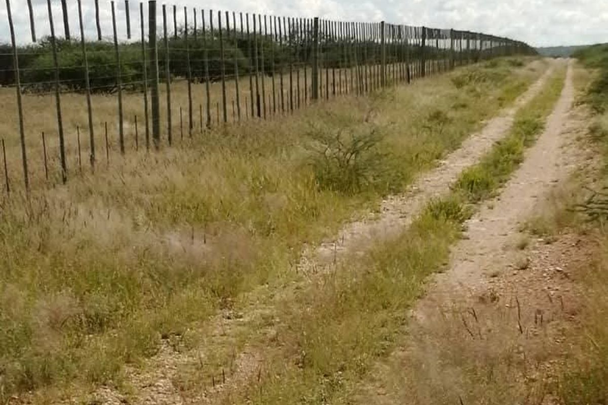 Farm for sale - Photo 4