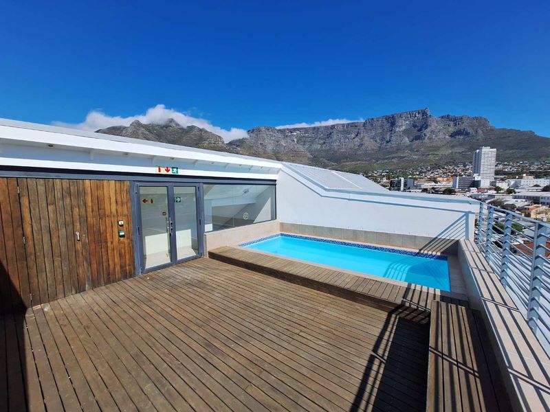 Top Floor Bachelor - Photo 8