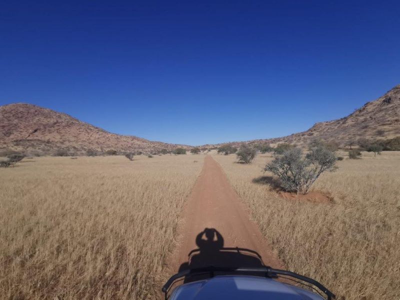 Beautiful farmland with endless possibilities - Photo 3