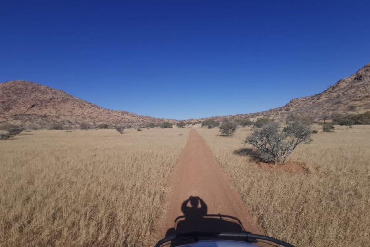 Beautiful farmland with endless possibilities - Photo 3