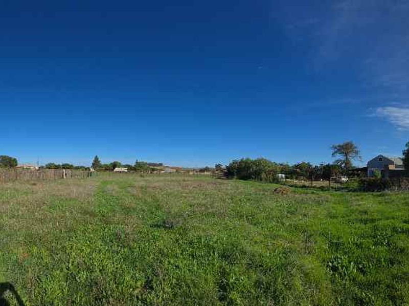 Prime Multi-Use Vacant Land for Sale: Ideal for Homesteading - Photo 8