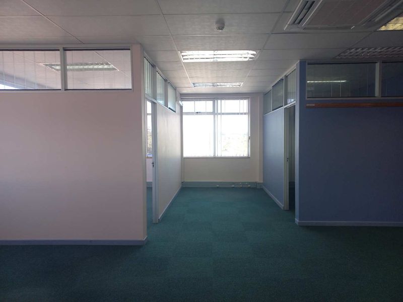An empty office space featuring carpet tiles, suspended ceilings with recessed lighting, and partition walls with glass transoms, providing a functional workspace layout.