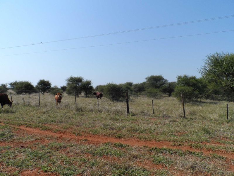 750 HECTARE FARM FOR SALE IN MOOKGOPONG - Photo 2