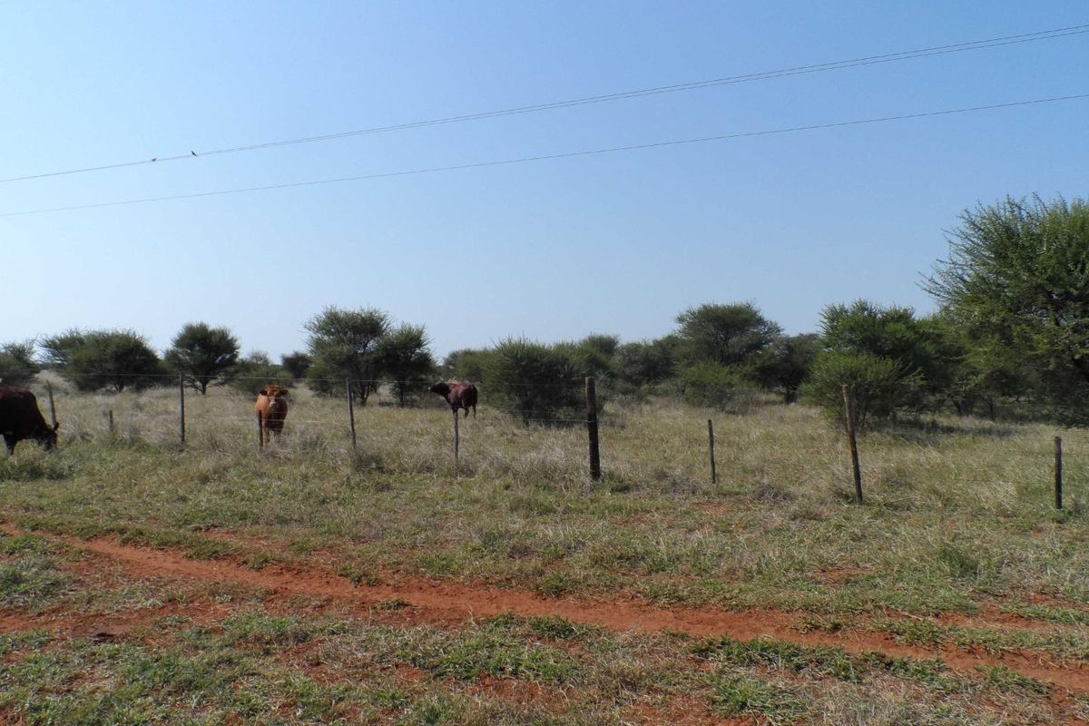 750 HECTARE FARM FOR SALE IN MOOKGOPONG - Photo 2