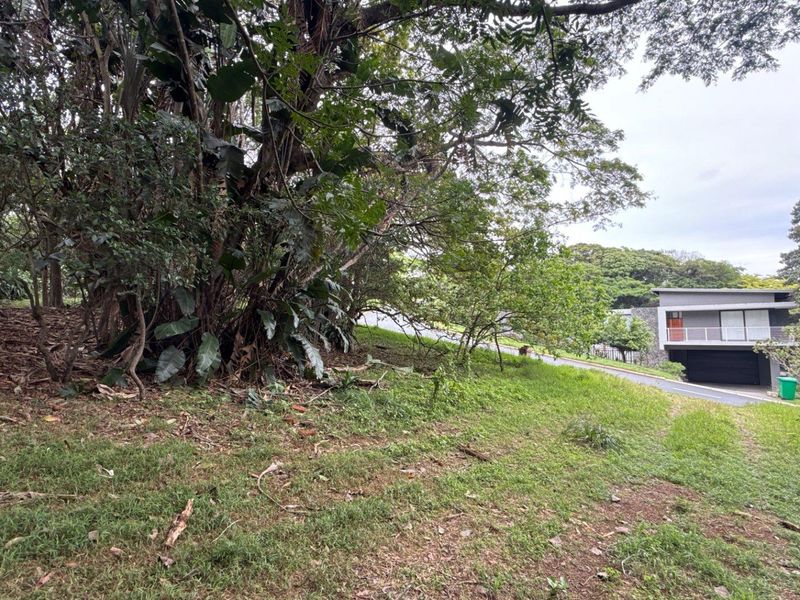 A view of the sloped, naturally landscaped residential land featuring mature trees and established vegetation.