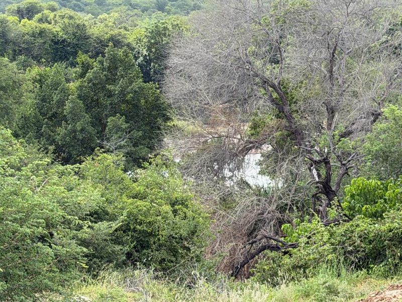 Brand-New Luxury Bushveld Home – Move-In Ready by End August! - Photo 7