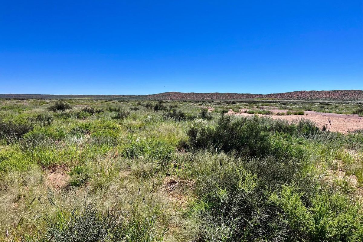 Farm for sale Keetmanshoop - Photo 5