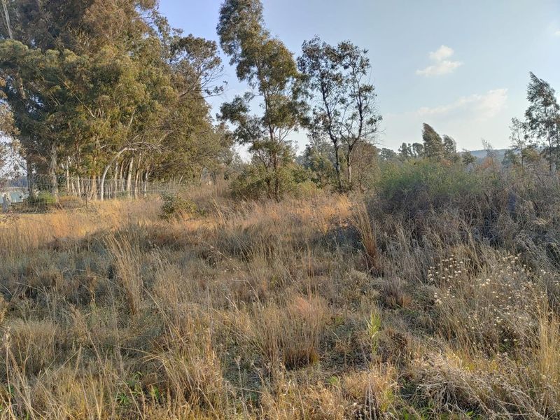 Secure 2.25ha Corner Stand Vacant Land with Water - Photo 8