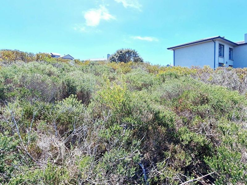 980m2 Vacant Land in Village on Sea Estate - Photo 6