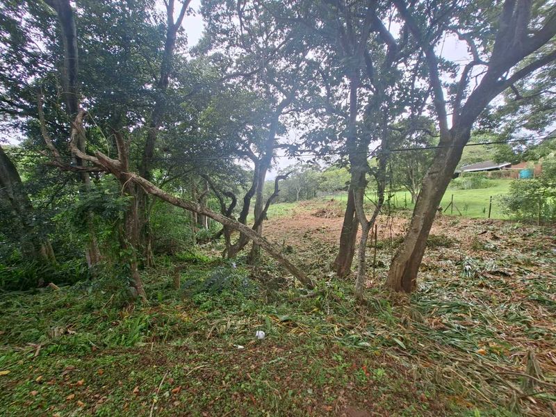 Nestled in the serene enclave of Crestview - Photo 5