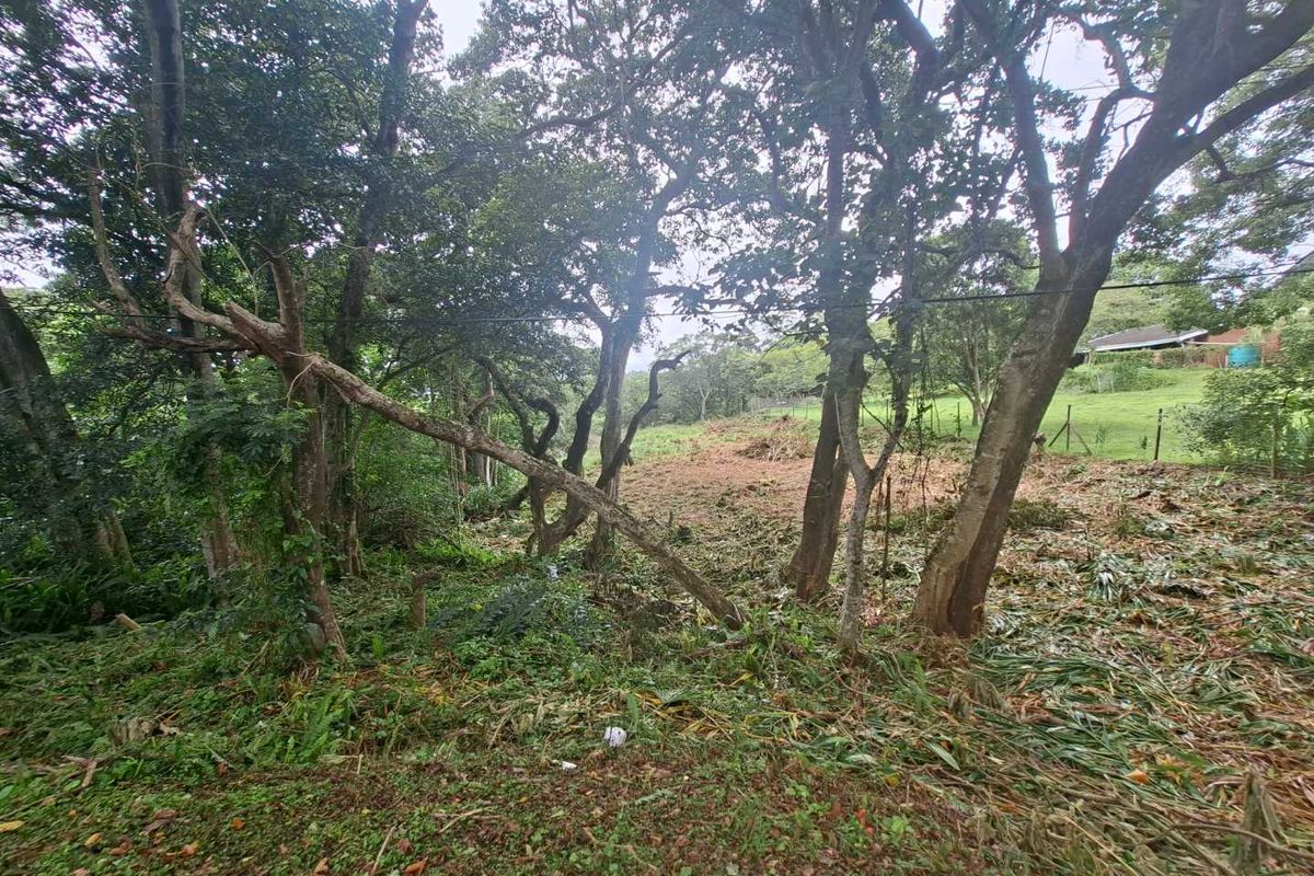 Nestled in the serene enclave of Crestview - Photo 5