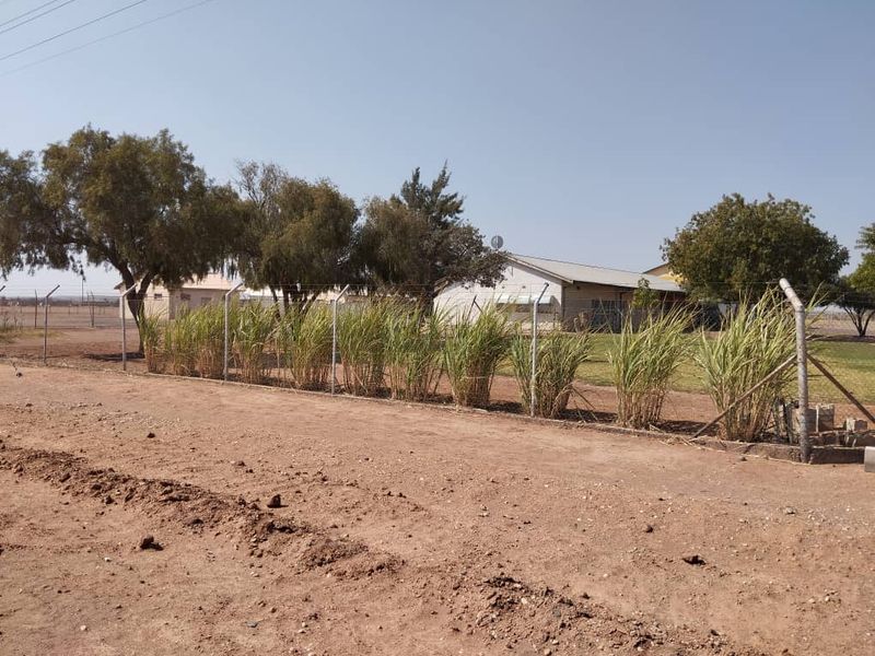 PERFECTLY LOCATED INDUSTRIAL ERF FOR SALE IN MARIENTAL – 2 OPTIONS!! - Photo 7