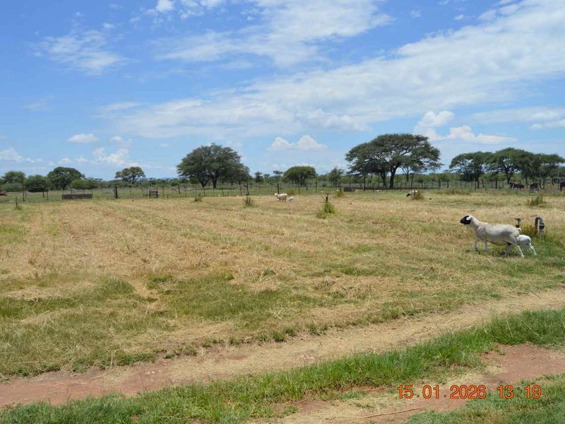 Your Perfect Rural Address - Photo 9