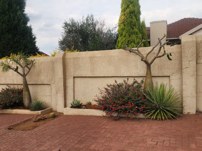 A rear exterior view featuring a paved area and a boundary wall with visible plaster cracking and established garden beds.