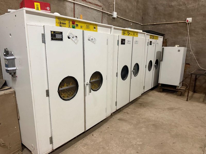 A farm for sales near Okahandja 📍 - Photo 9