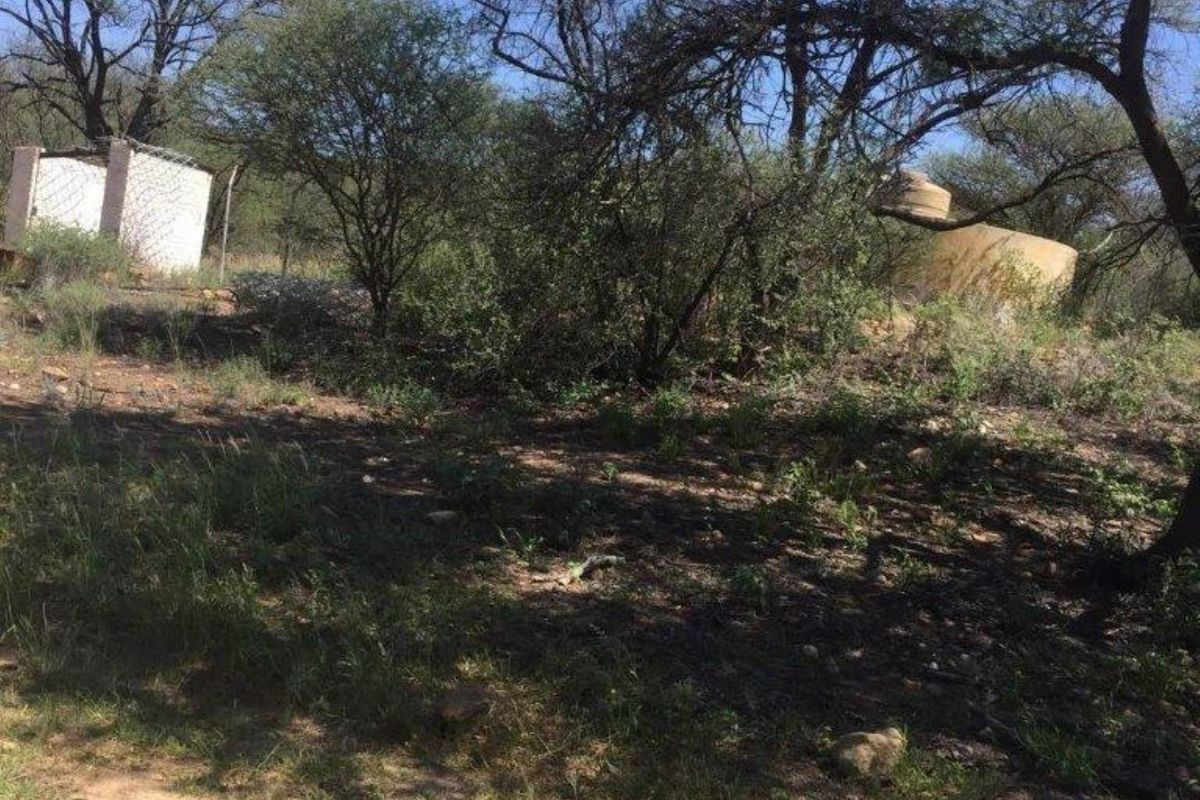 Smallholding 94 Ha at Ozombanda Wildlife Estate - Photo 3