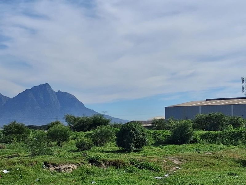 A scenic view of the agricultural land featuring a prominent mountain backdrop and adjacent industrial structures.