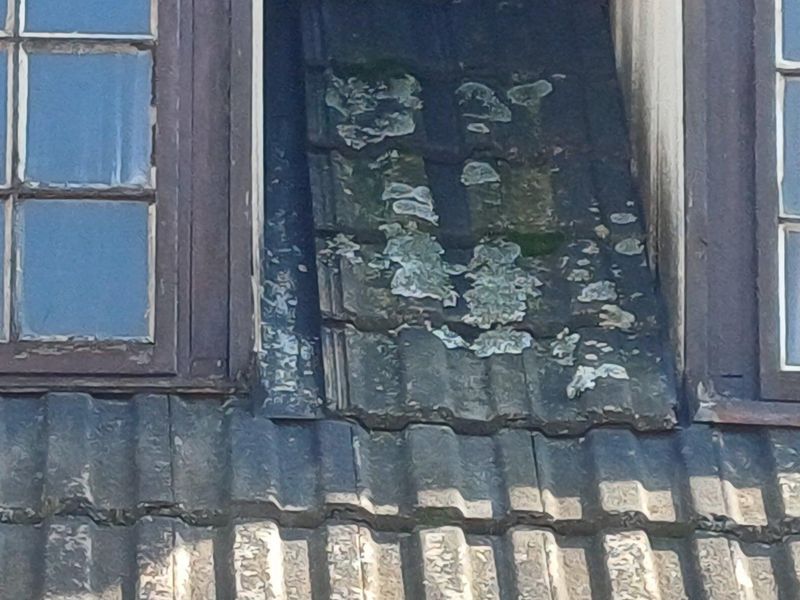 Spacious Family Home with Endless Potential – A True Renovator’s Dream - Photo 4