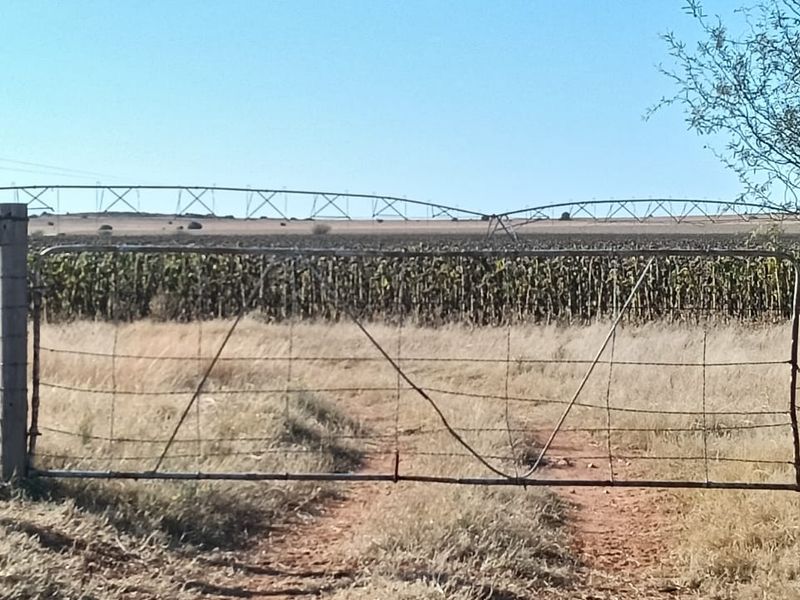 IRRIGATION FARM. 20 BORHOLES. SEVEN IRRIGATION TOWERS. CATTLE FARM - Photo 10