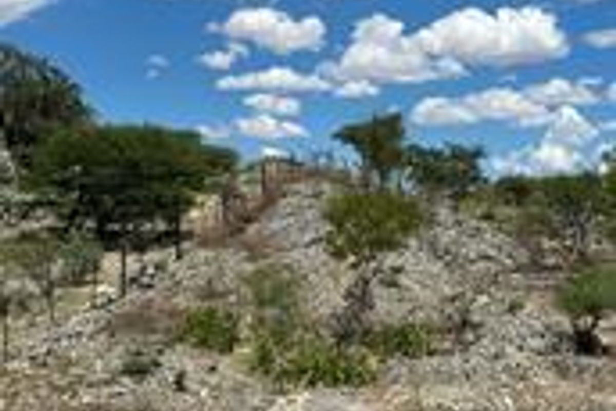 Agricultural Plot for Sale Near Eden Strawberry Farm - Photo 3