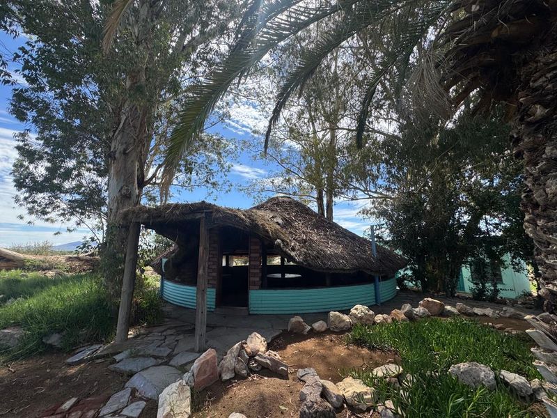 A rustic outdoor entertainment area featuring a circular thatched roof structure with brick and corrugated metal finishes, set within a natural garden landscape.