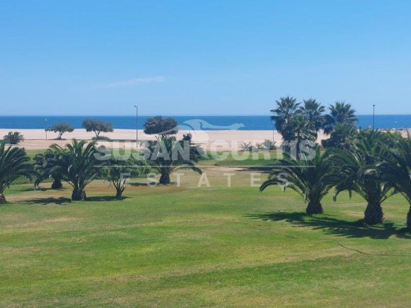 A scenic view overlooking a well-maintained green lawn with palm trees, leading towards the beach and ocean horizon.