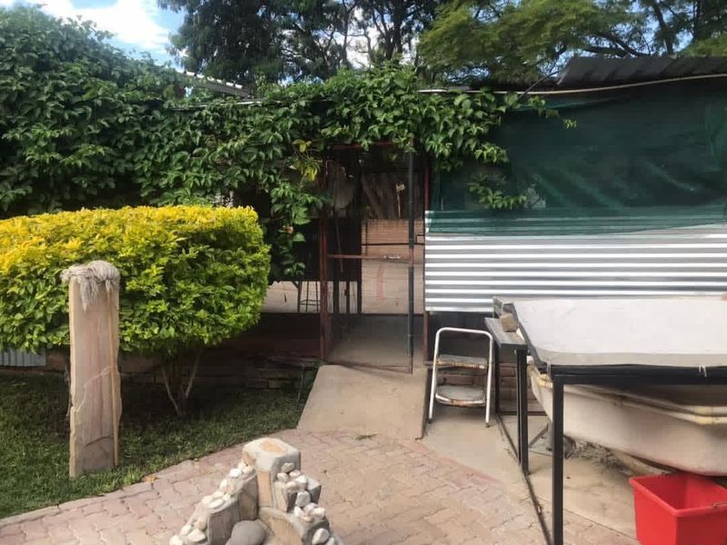 Rear outdoor area featuring a paved patio, metal siding structure, and established garden greenery.
