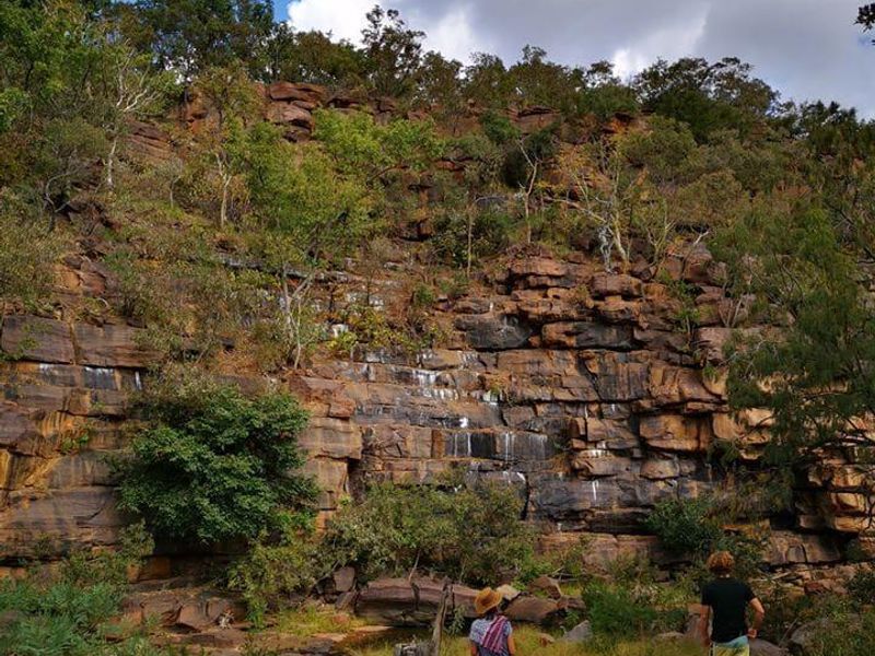 EXCLUSIVE PRIVATE GAME RESERVE FOR SALE IN THE SCENIC WATERBERG MOUNTAINS - Photo 2