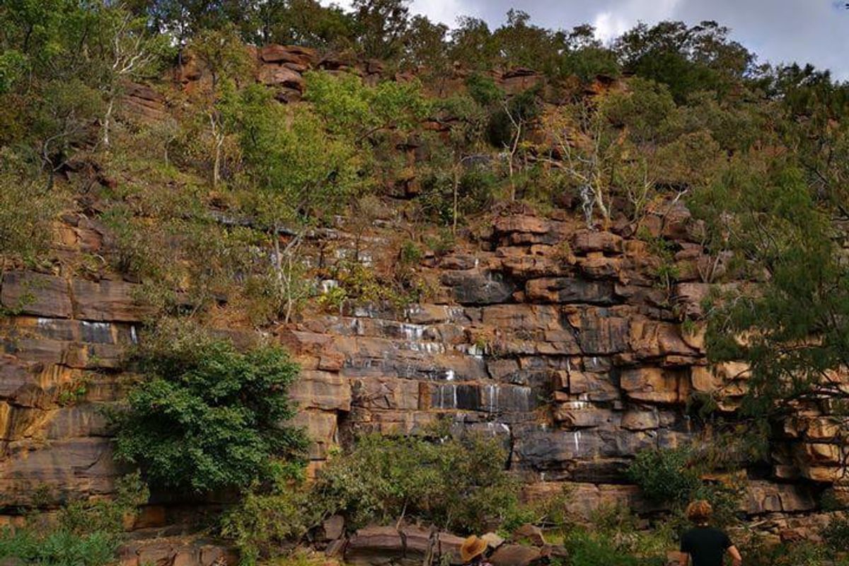 EXCLUSIVE PRIVATE GAME RESERVE FOR SALE IN THE SCENIC WATERBERG MOUNTAINS - Photo 2