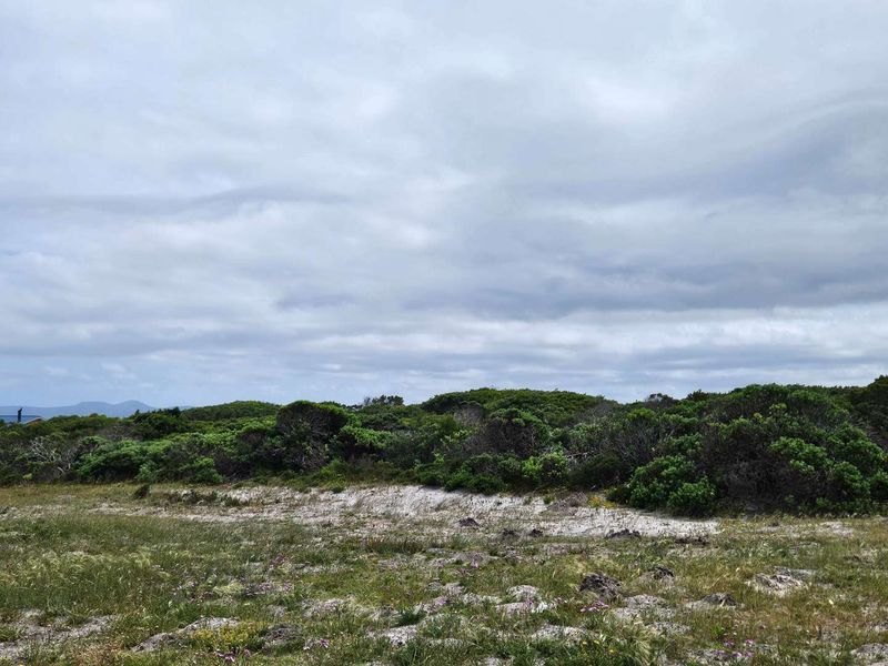 Exceptional Vacant Land for Sale in Pearly Beach - Photo 6