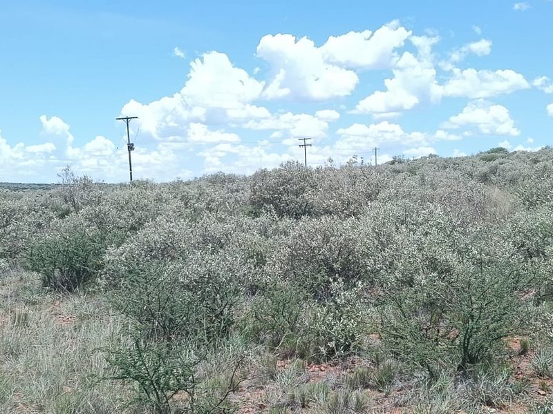 READY FOR DEVELEPMONT. 14 PLOTS . IN GAME FARM. BEAUTIFUL VIEW. - Photo 2