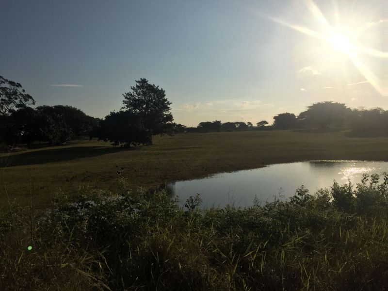 Vacant Land in MTUBATUBA - Photo 10
